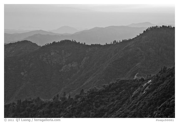 Forested ridges at sunset seen from Moro Rock. Sequoia National Park, California, USA.