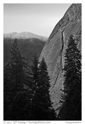 Forest and base of Moro Rock at dawn. Sequoia National Park, California, USA.