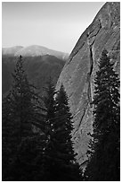 Forest and base of Moro Rock at dawn. Sequoia National Park, California, USA. (black and white)