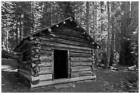 Squatters Cabin. Sequoia National Park, California, USA. (black and white)