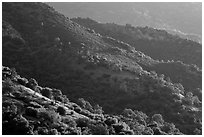 Hill ridges. Sequoia National Park ( black and white)