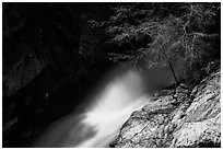 Tree and water flowing in gorge, Marble Fall. Sequoia National Park ( black and white)