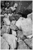 Marble rocks in talus. Sequoia National Park ( black and white)