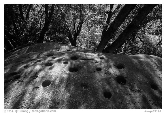 Mortar holes and oak trees near Hospital Rock. Sequoia National Park (black and white)