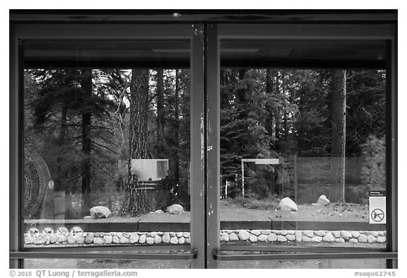 Lodgepole Visitor Center window reflexion. Sequoia National Park (black and white)