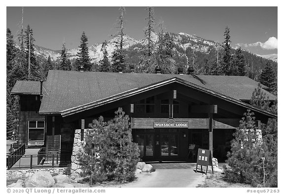 Wuksachi Lodge. Sequoia National Park (black and white)