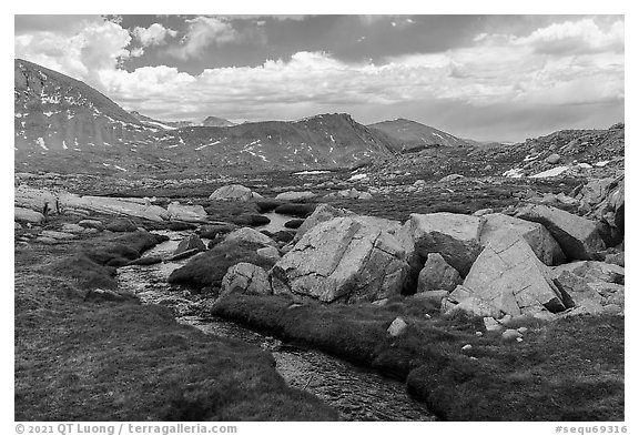 Stream in alpine meadow with rocks. Sequoia National Park (black and white)