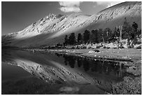 Lake and stand of pine trees. Sequoia National Park ( black and white)