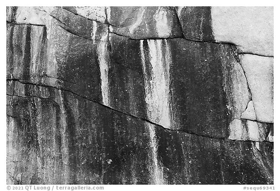 Granite detail. Sequoia National Park (black and white)