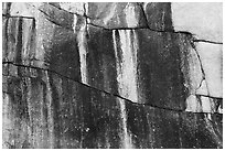 Granite detail. Sequoia National Park ( black and white)
