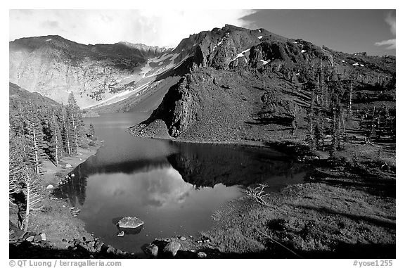 Ellery Lake in summer. California, USA