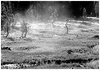 Mist raising from Tuolumne Meadows on a autumn morning. Yosemite National Park, California, USA. (black and white)