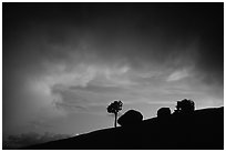 Pine and glacial erratics, dusk, Olmsted point. Yosemite National Park ( black and white)