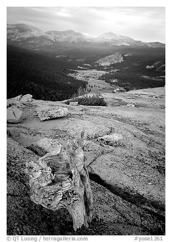 Tuolumne Meadows seen from Fairview Dome, autumn evening. Yosemite National Park (black and white)