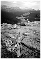 Tuolumne Meadows seen from Fairview Dome, autumn evening. Yosemite National Park, California, USA. (black and white)