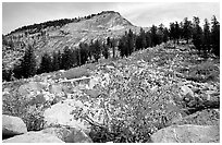 Peak near Sunrise Lakes, autumn. Yosemite National Park, California, USA. (black and white)