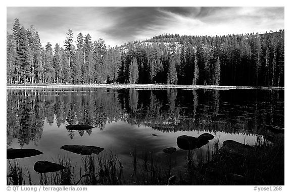 Boulders and reflections, Siesta Lake, afternoon. Yosemite National Park, California, USA.