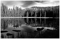 Boulders and reflections, Siesta Lake, afternoon. Yosemite National Park ( black and white)