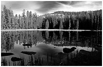 Boulders and reflections, Siesta Lake, afternoon. Yosemite National Park, California, USA. (black and white)