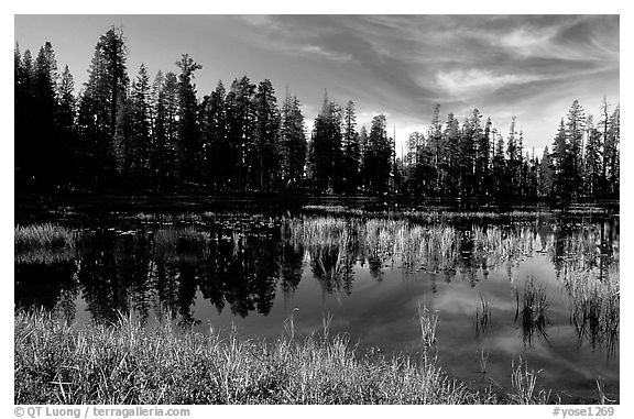 Siesta Lake with Shrubs in autumn colors. Yosemite National Park, California, USA.