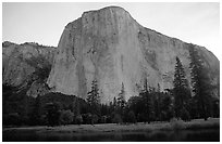 El Capitan, dawn. Yosemite National Park, California, USA. (black and white)