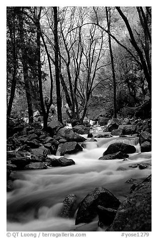 Creek at the base of Bridalveil Falls. Yosemite National Park, California, USA.