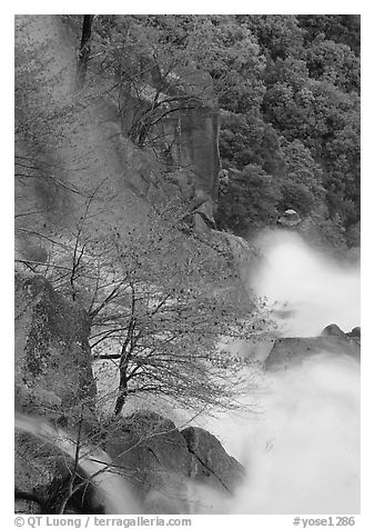 Cascade Creek spring run-off. Yosemite National Park, California, USA.