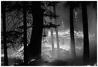 Prescribed fire. Yosemite National Park ( black and white)