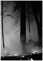 Managed fire. Yosemite National Park ( black and white)