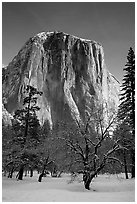 West face of El Capitan in winter. Yosemite National Park, California, USA. (black and white)