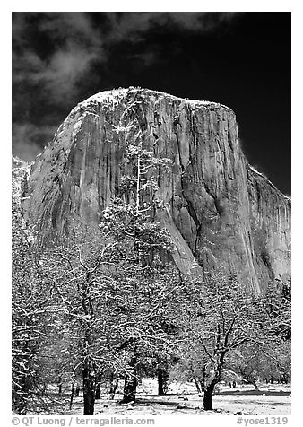 West face of El Capitan in winter. Yosemite National Park, California, USA.