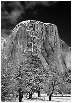 West face of El Capitan in winter. Yosemite National Park, California, USA. (black and white)