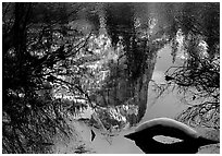 Reflections in Mirror Lake, winter afternoon. Yosemite National Park, California, USA. (black and white)