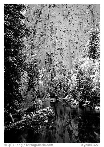 Cathedral rocks with fresh snow reflected in Merced River, early morning. Yosemite National Park (black and white)