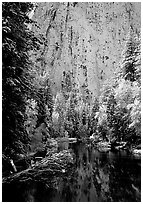 Cathedral rocks with fresh snow reflected in Merced River, early morning. Yosemite National Park, California, USA. (black and white)
