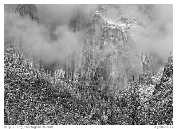 Trees, cliffs and mist. Yosemite National Park, California, USA.