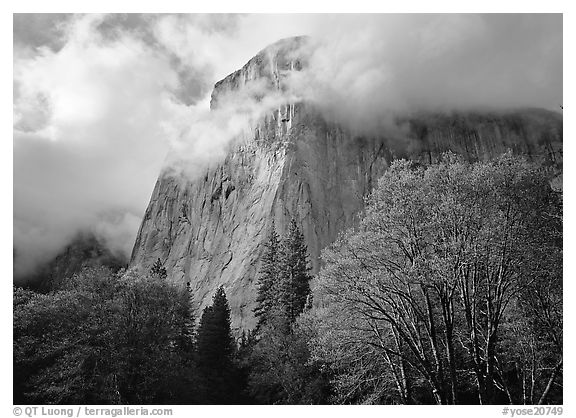El Capitan with clouds shrouding summit. Yosemite National Park (black and white)