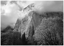 El Capitan with clouds shrouding summit. Yosemite National Park, California, USA. (black and white)