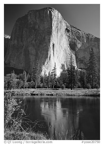 El Capitan and Merced River reflection. Yosemite National Park, California, USA.