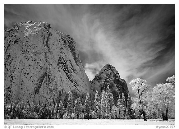 El Capitan Meadow and Cathedral Rocks with fresh snow. Yosemite National Park (black and white)
