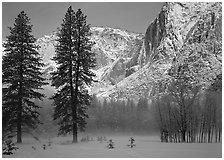 Awhahee Meadow and Yosemite falls wall with snow, early winter morning. Yosemite National Park, California, USA. (black and white)