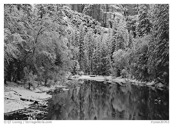 Snowy trees and rock wall reflected in Merced River. Yosemite National Park (black and white)