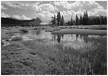 Spring pond in Tuolumne Meadows and Lambert Dome. Yosemite National Park, California, USA. (black and white)