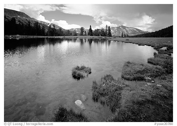 Alpine tarn near Tioga Pass. Yosemite National Park (black and white)