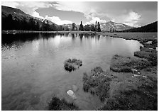 Alpine tarn near Tioga Pass. Yosemite National Park, California, USA. (black and white)