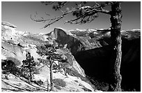 Half-Dome framed by pine trees from valley rim, late afternoon. Yosemite National Park ( black and white)