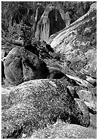 Brothers seen from Eagle Peak. Yosemite National Park, California, USA. (black and white)