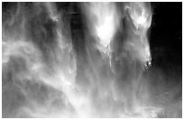 Water plunges fron Yosemite Falls. Yosemite National Park ( black and white)
