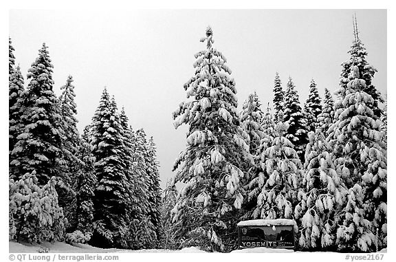 Park entrance in winter. Yosemite National Park (black and white)