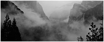 Vernal Fall and tree. Yosemite National Park (Panoramic black and white)